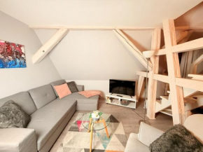 Chic&Cosy - Vue exceptionnelle - Centre Haguenau